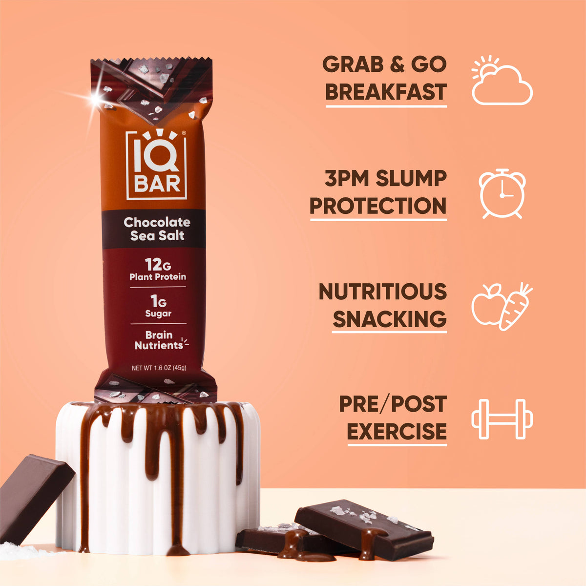 IQBAR Plant Protein Bars