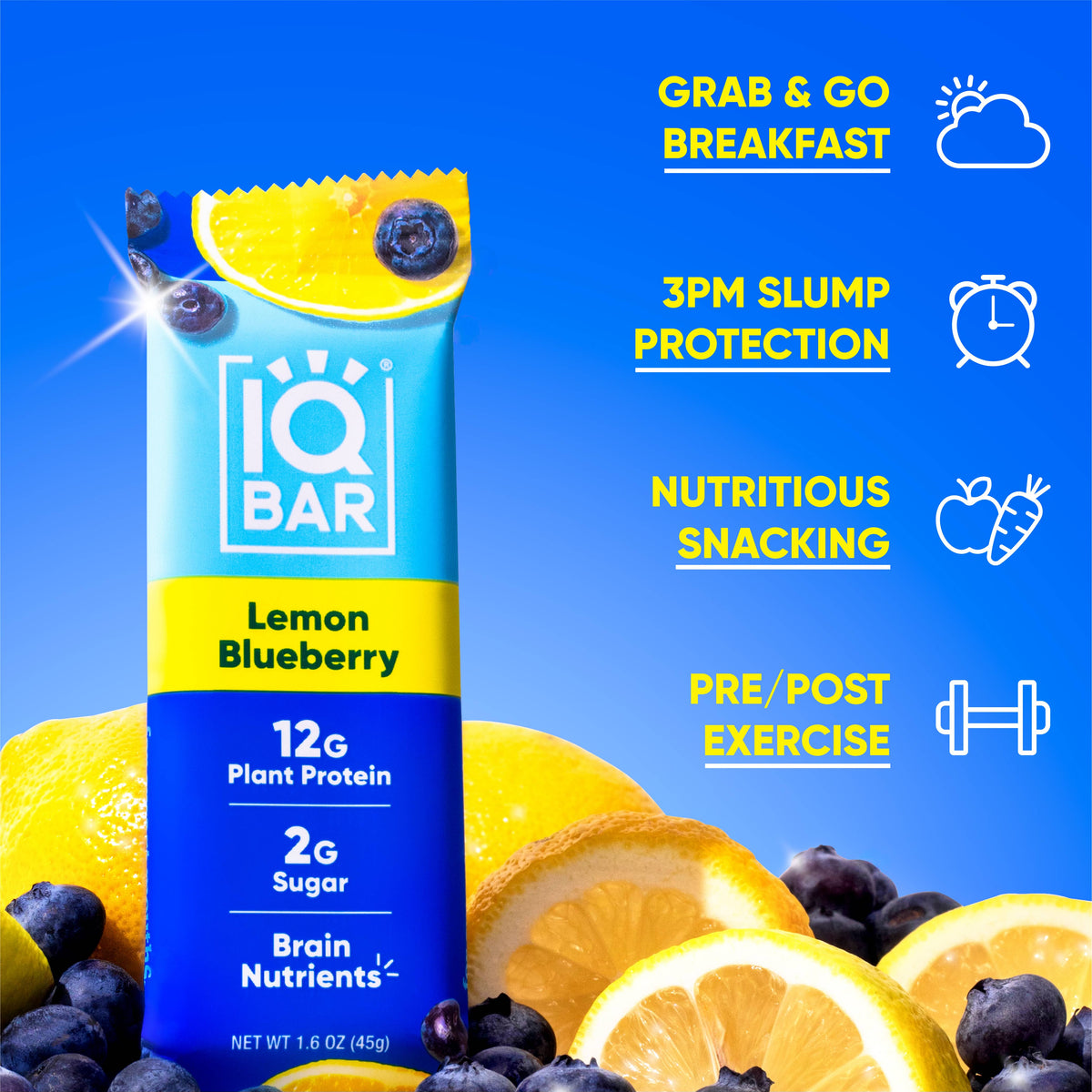 IQBAR Plant Protein Bars