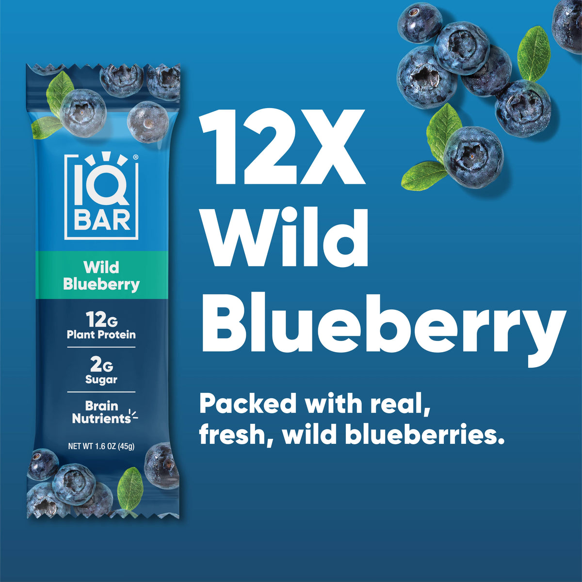 IQBAR Plant Protein Bars